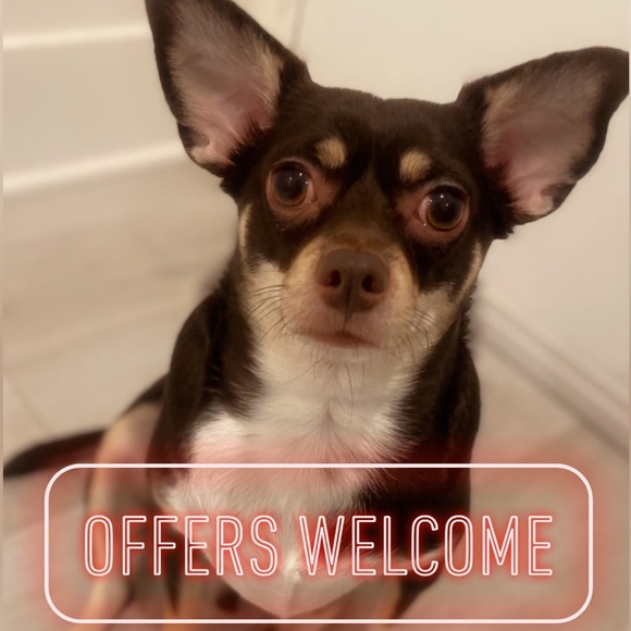 Meet your Posher 💖👽 - Picture 2 of 2